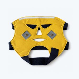 Face mask