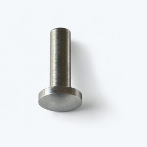 Mushroom pin