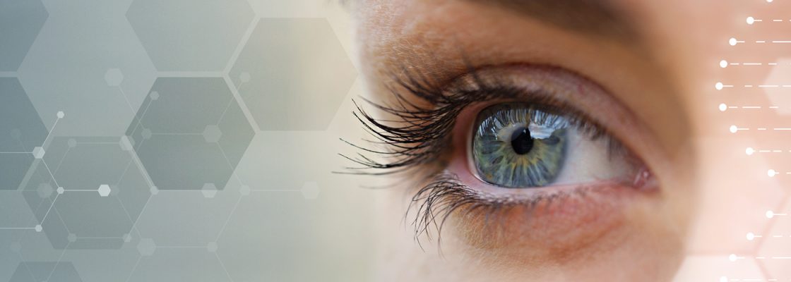 Pro-Webinar-Recordings-Kursuebersicht