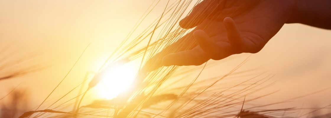 Spirituelle Webinare3