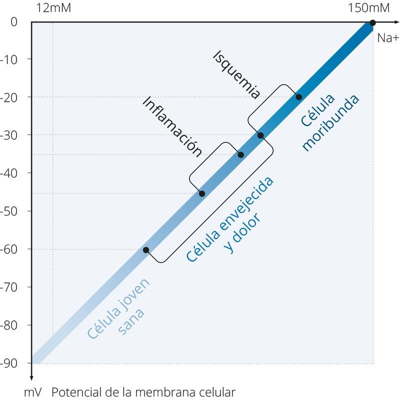 Frequency Application