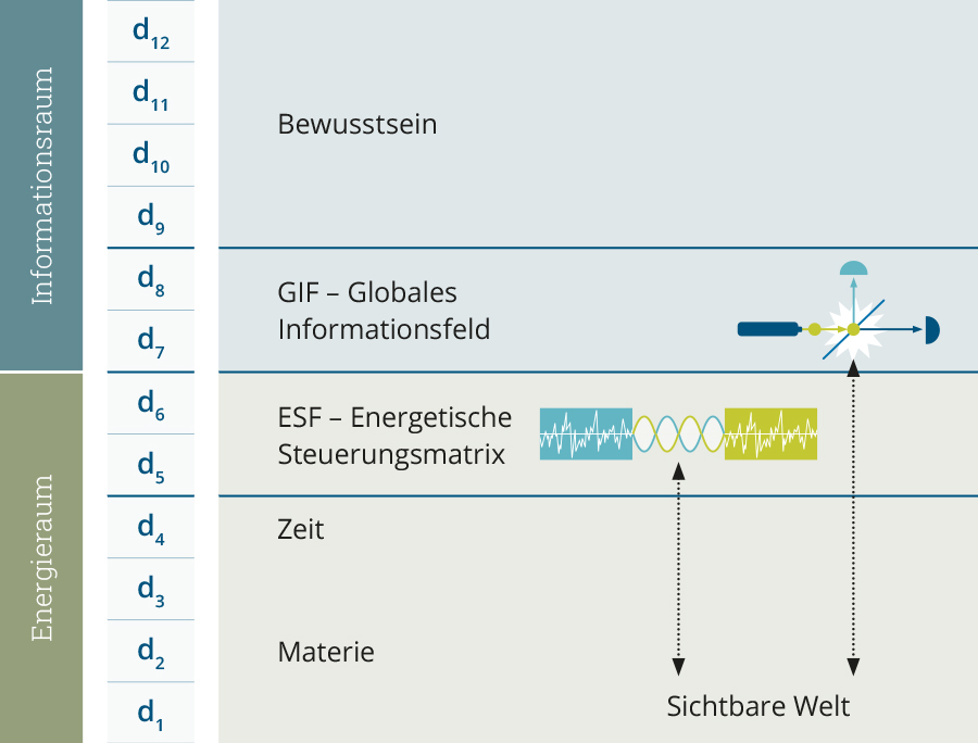 Information Field Applications