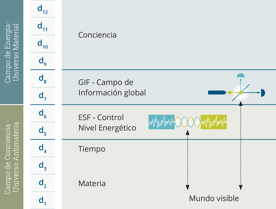 Information Field Applications